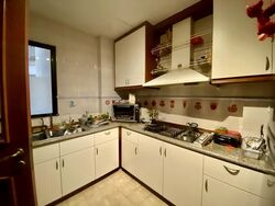 Dover Parkview (D5), Condominium #554424061